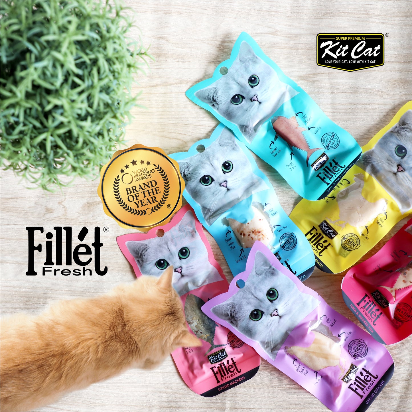 FilletFresh - Pollo y Fibra 30g Kit Cat
