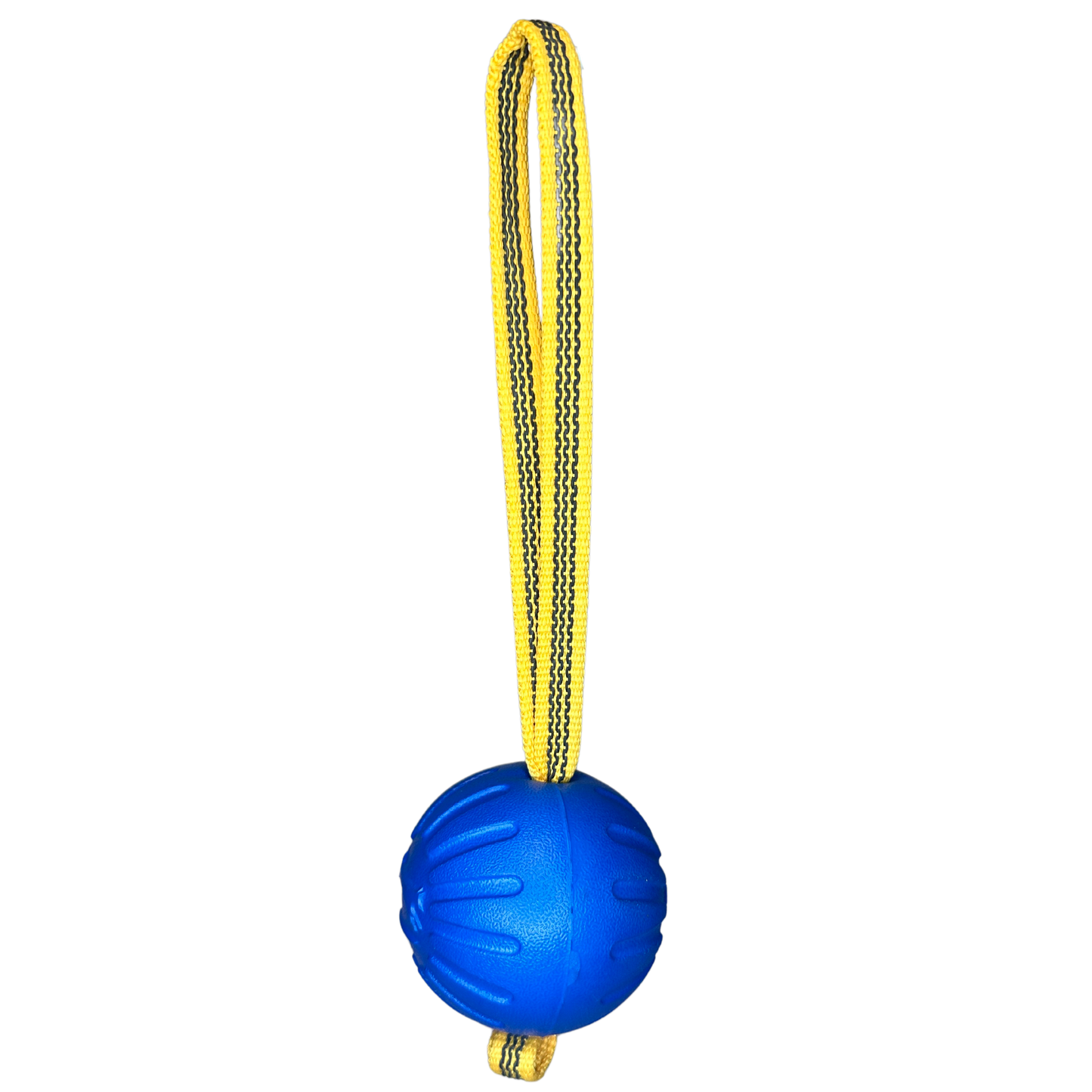 Pelota Fantastic Foam Ball con asa plana engomada