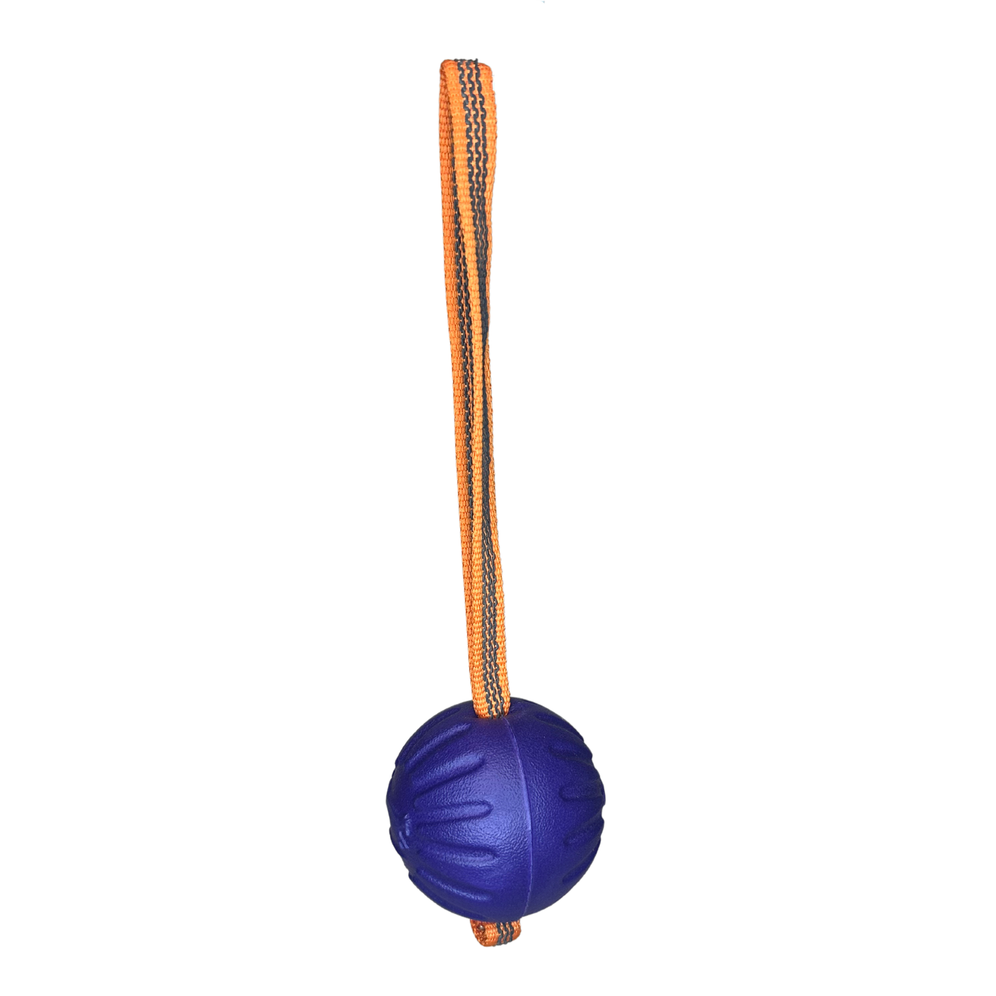 Pelota Fantastic Foam Ball con asa plana engomada