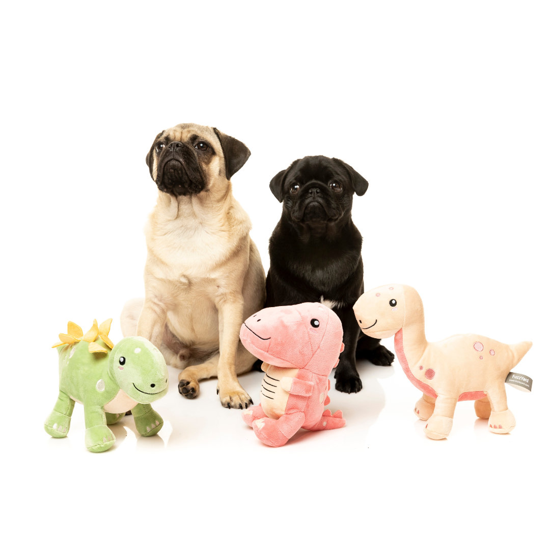 Dino Brienne The Brontosaurus - FuzzYard Toy