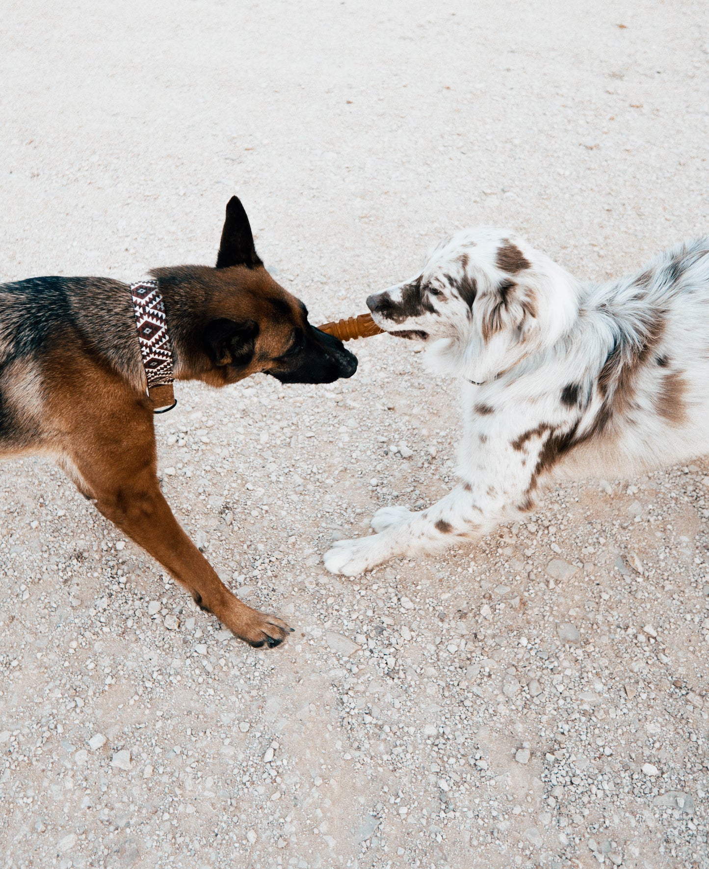 Rub Flosser With Rope