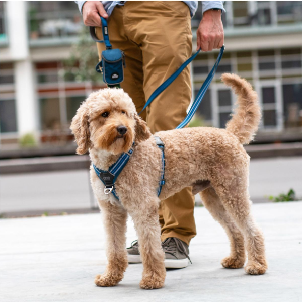 Arnés DOG Copenhagen Comfort Walk Air™ - V3