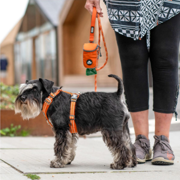 Arnés DOG Copenhagen Comfort Walk Air™ - V3