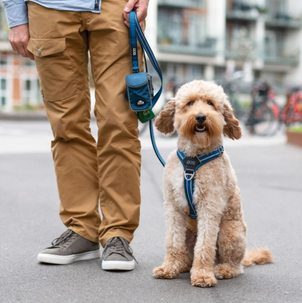 Arnés DOG Copenhagen Comfort Walk Air™ - V3