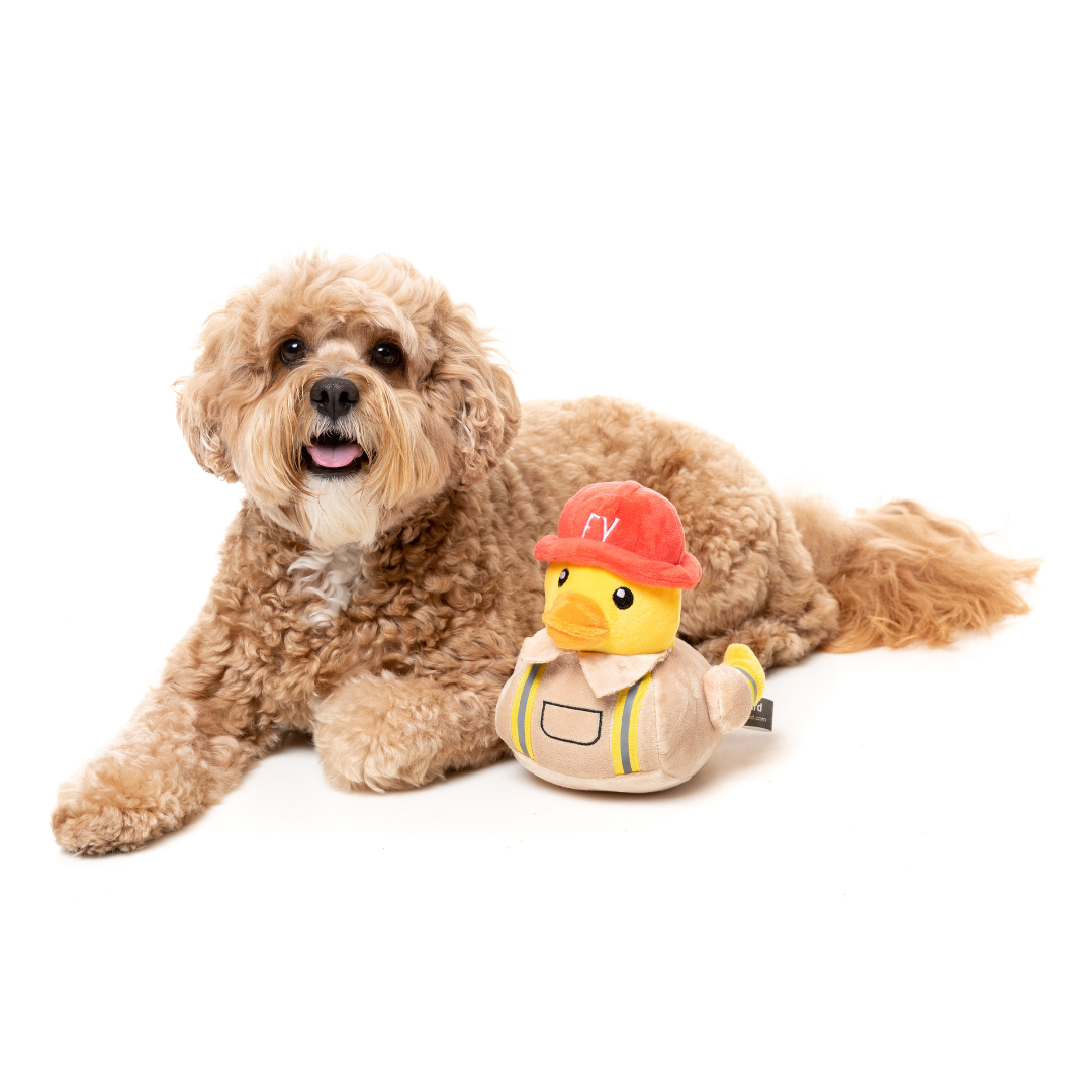 Firequacker - FuzzYard Toy