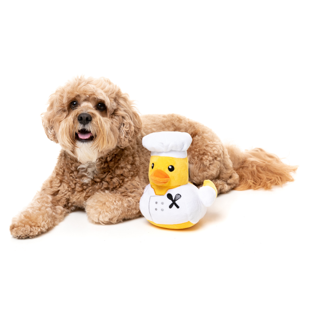 Gordon Quacksay - FuzzYard Toy