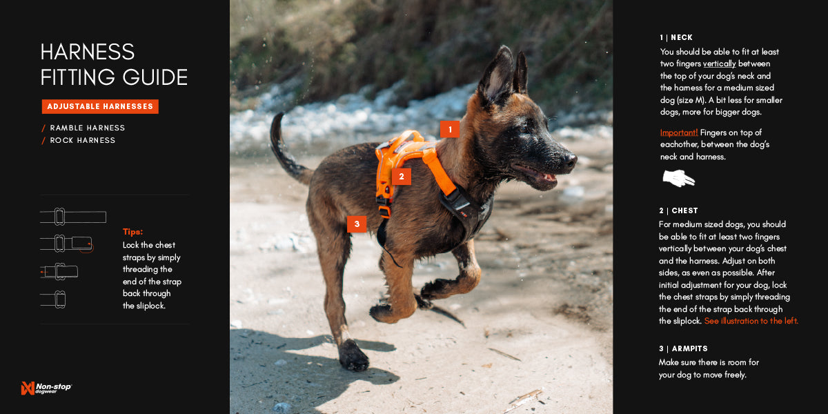 Ramble harness