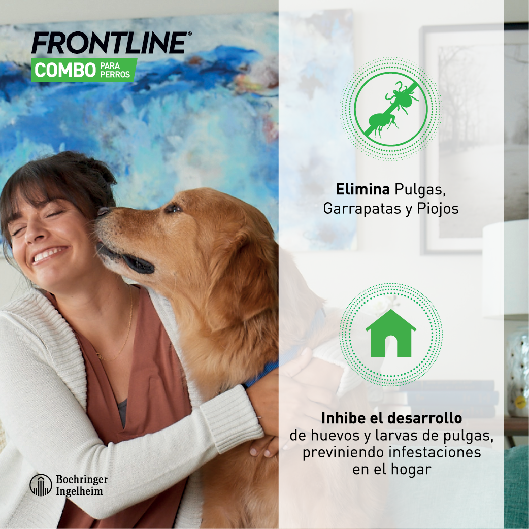FRONTLINE COMBO PERRO