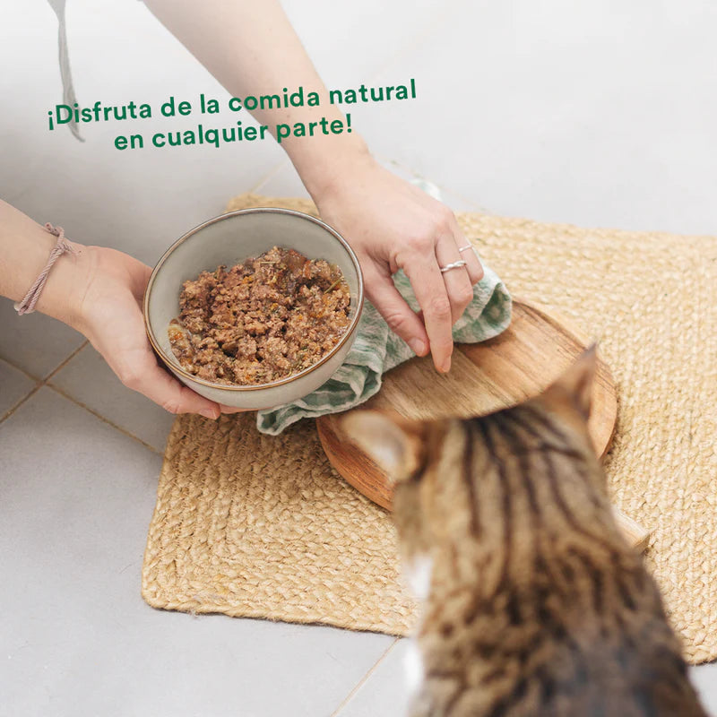 Lata de cerdo para gatos 120g - Filosofía BARF - Wild Balance