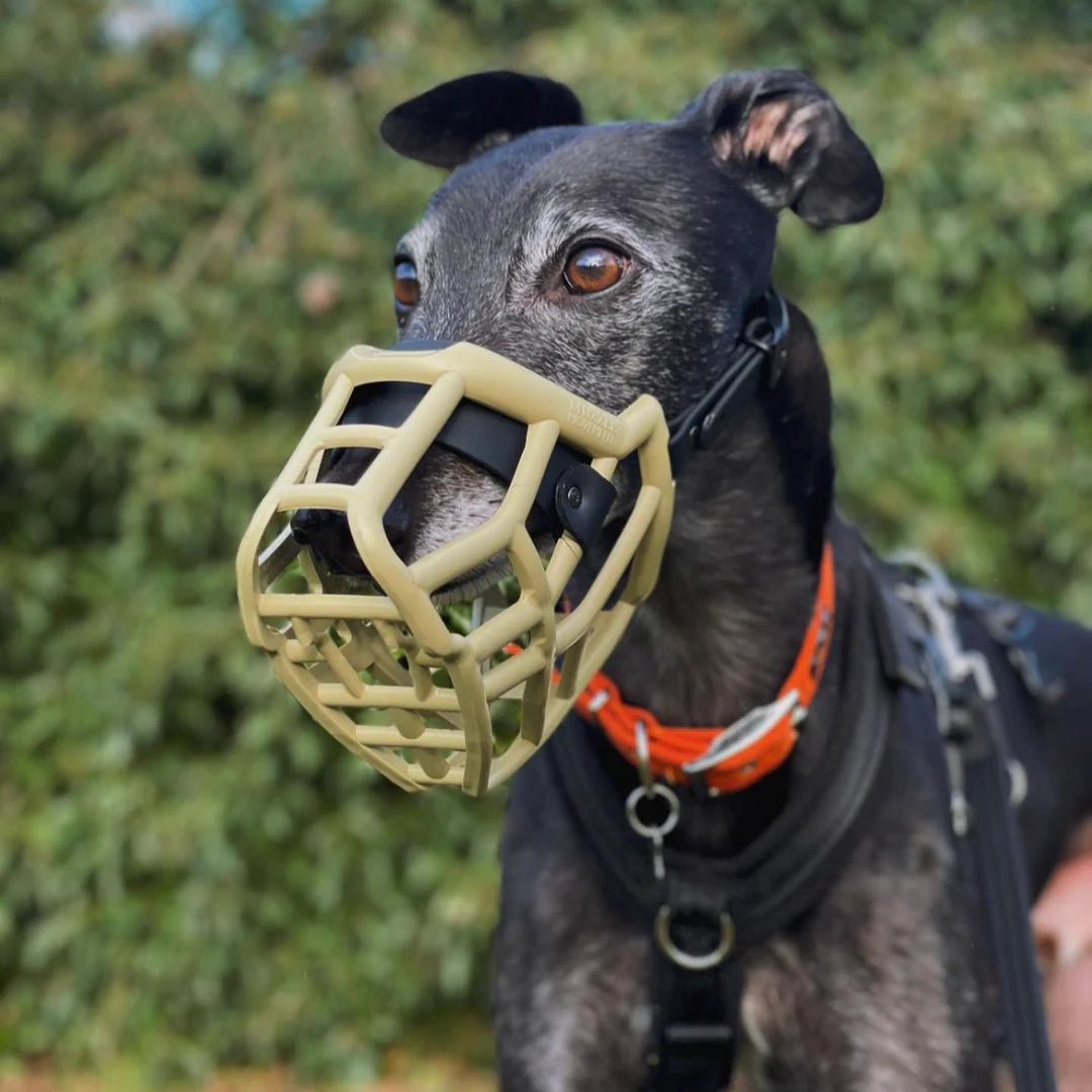 Neli Muzzle - The muzzle movement