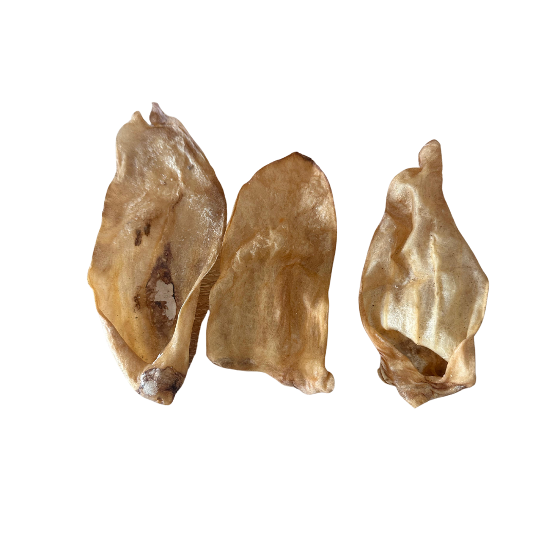 Oreja de Cordero