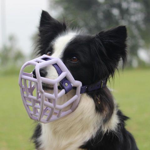 Rex Muzzle - The muzzle movement