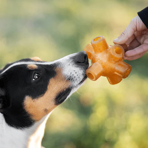 Rub Free Jump - para perros