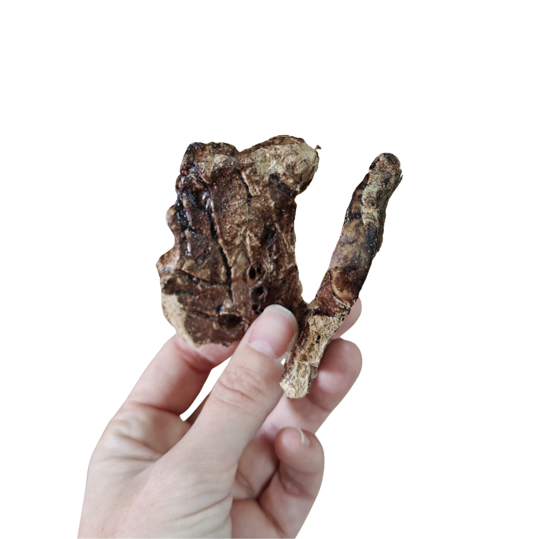 Pulmón de vacuno - Tiras