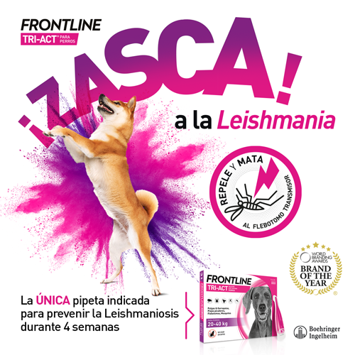 Frontline Tri-Act