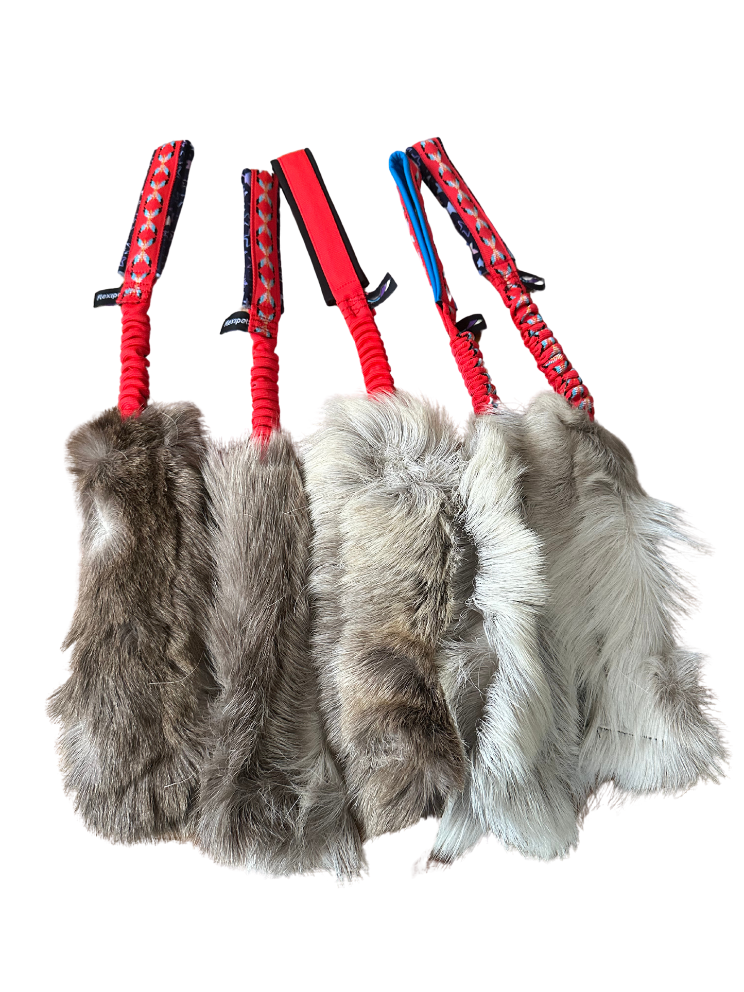 Motivador de reno + Asa elástico