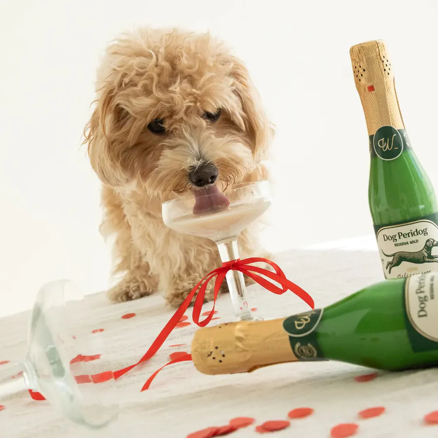 Kéfir de vaca - Dog Peridog