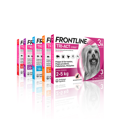 Frontline Tri-Act
