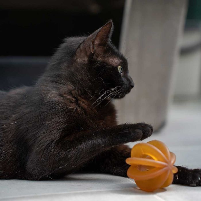 RUB FUNNY BALL CATS x 2 RETORN
