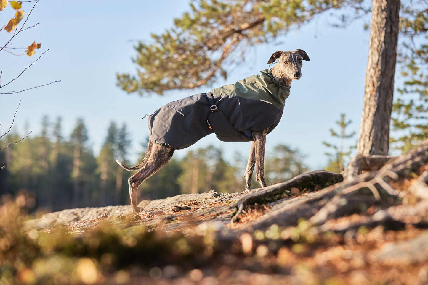 Glacier wool jacket 2.0