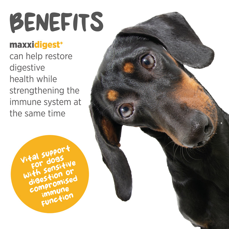 Maxxidigest - Suplemento digestivo