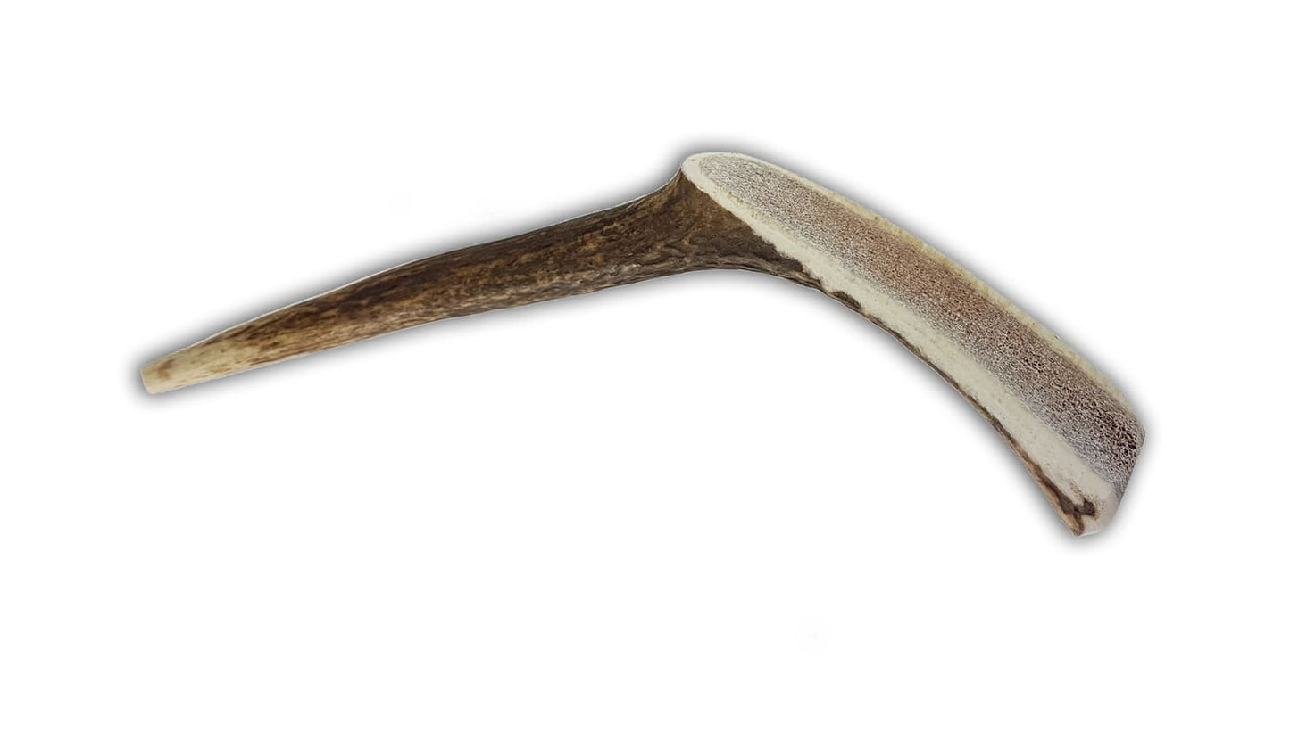 Asta partida de Ciervo -Bimordiscos