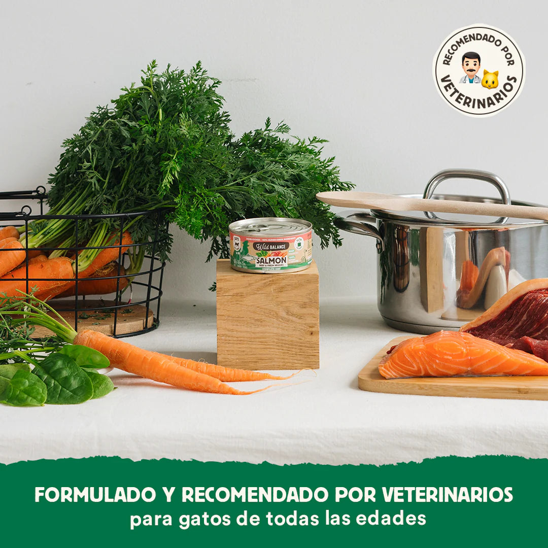 Lata de Salmón y Ternera para gatos 120g - Filosofía BARF