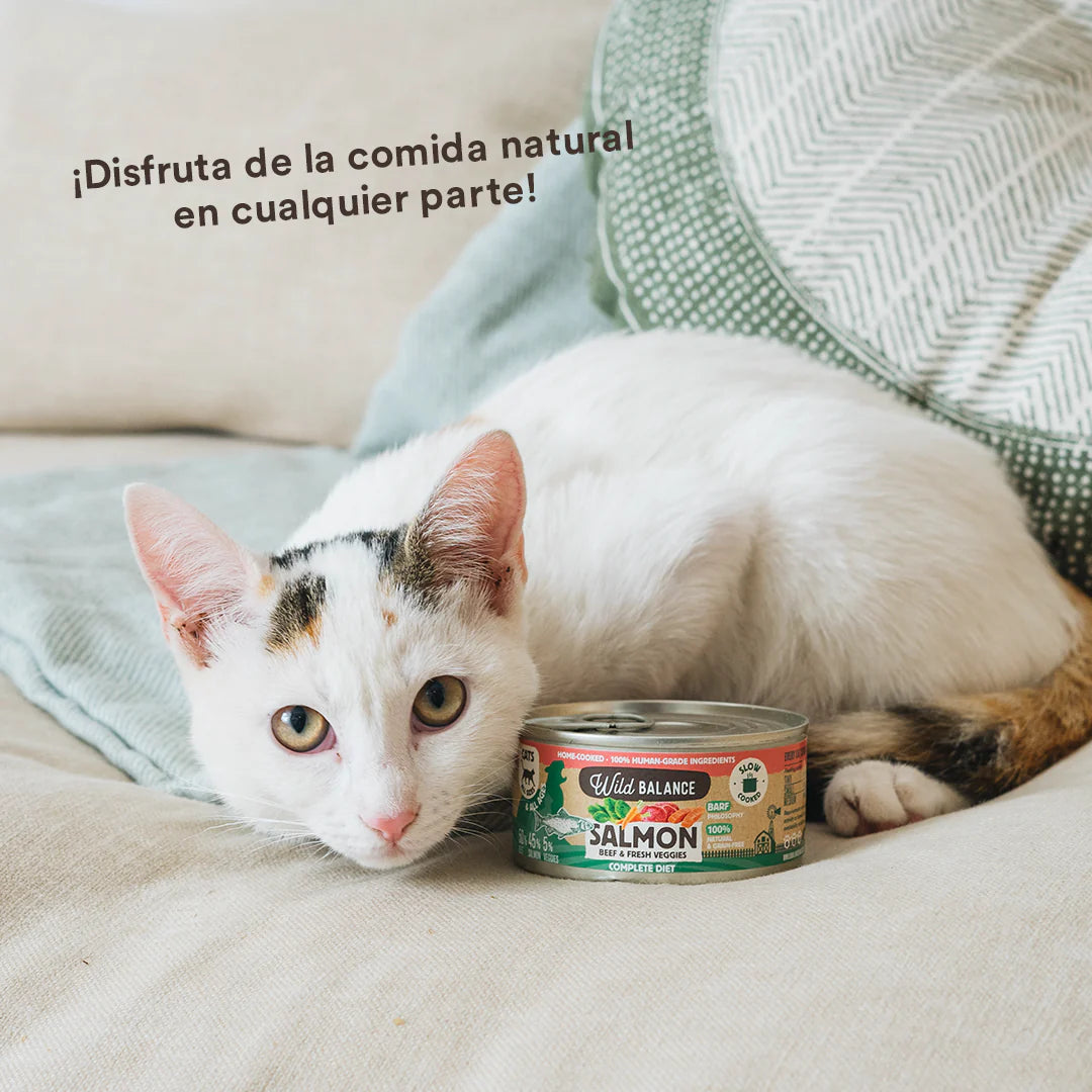 Lata de Salmón y Ternera para gatos 120g - Filosofía BARF