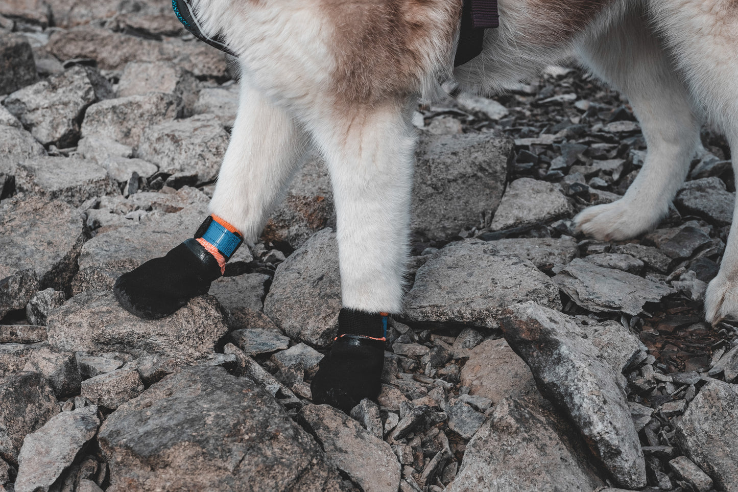 Protector bootie