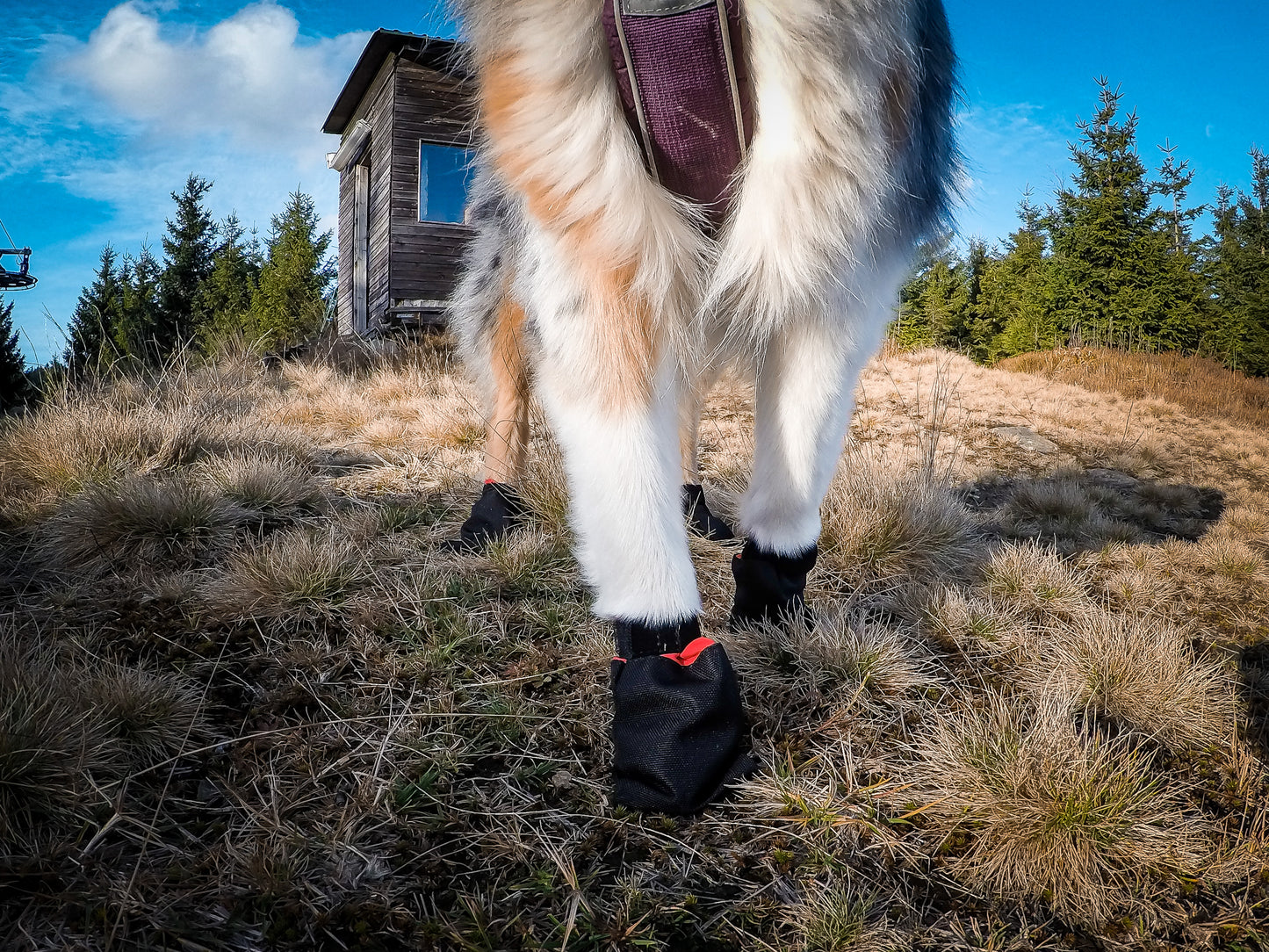 Solid socks