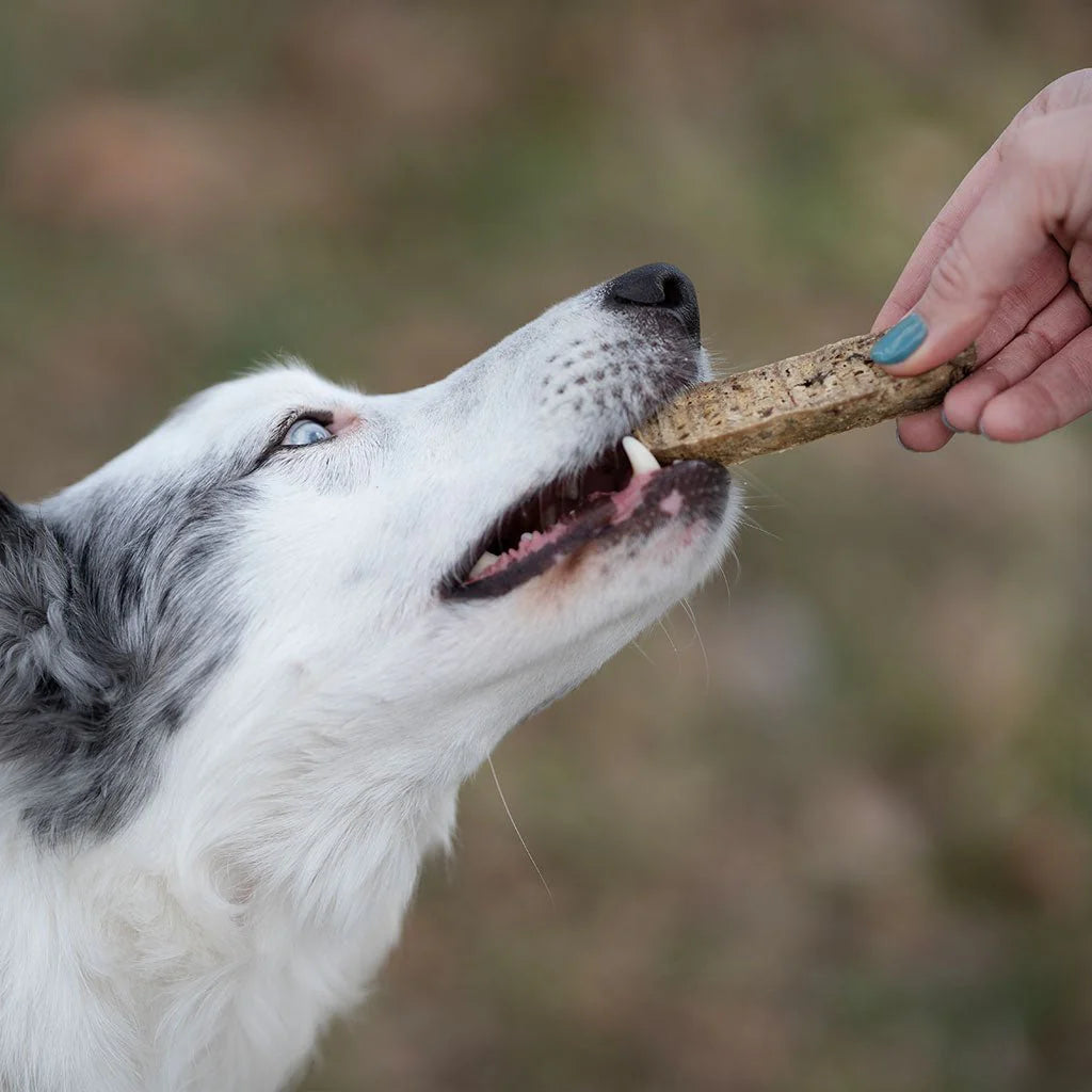 RETORN RUB SALMON DENTAL STICK FOR DOGS 100G