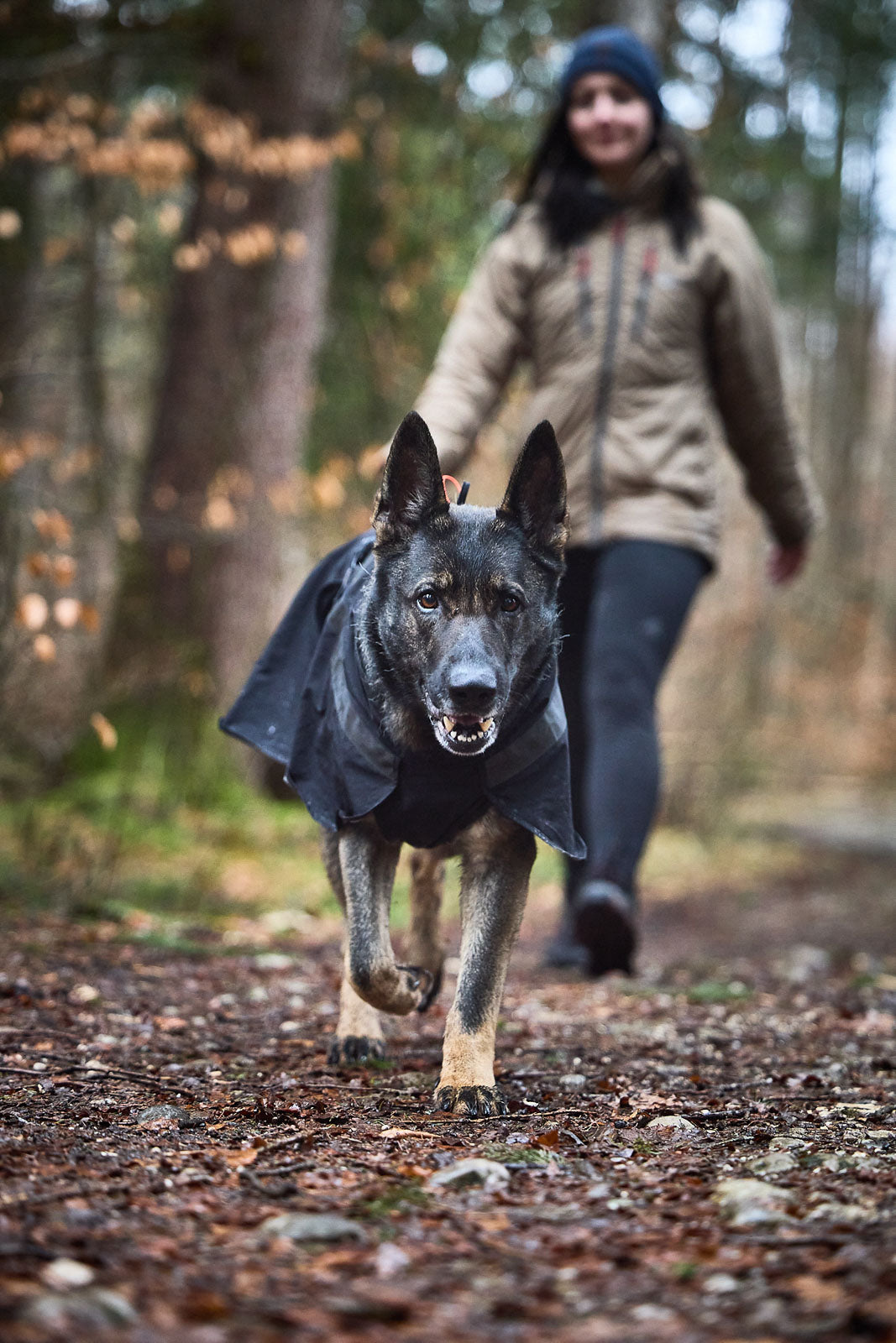 Trekking dog Raincoat - Non-Stop dogwear