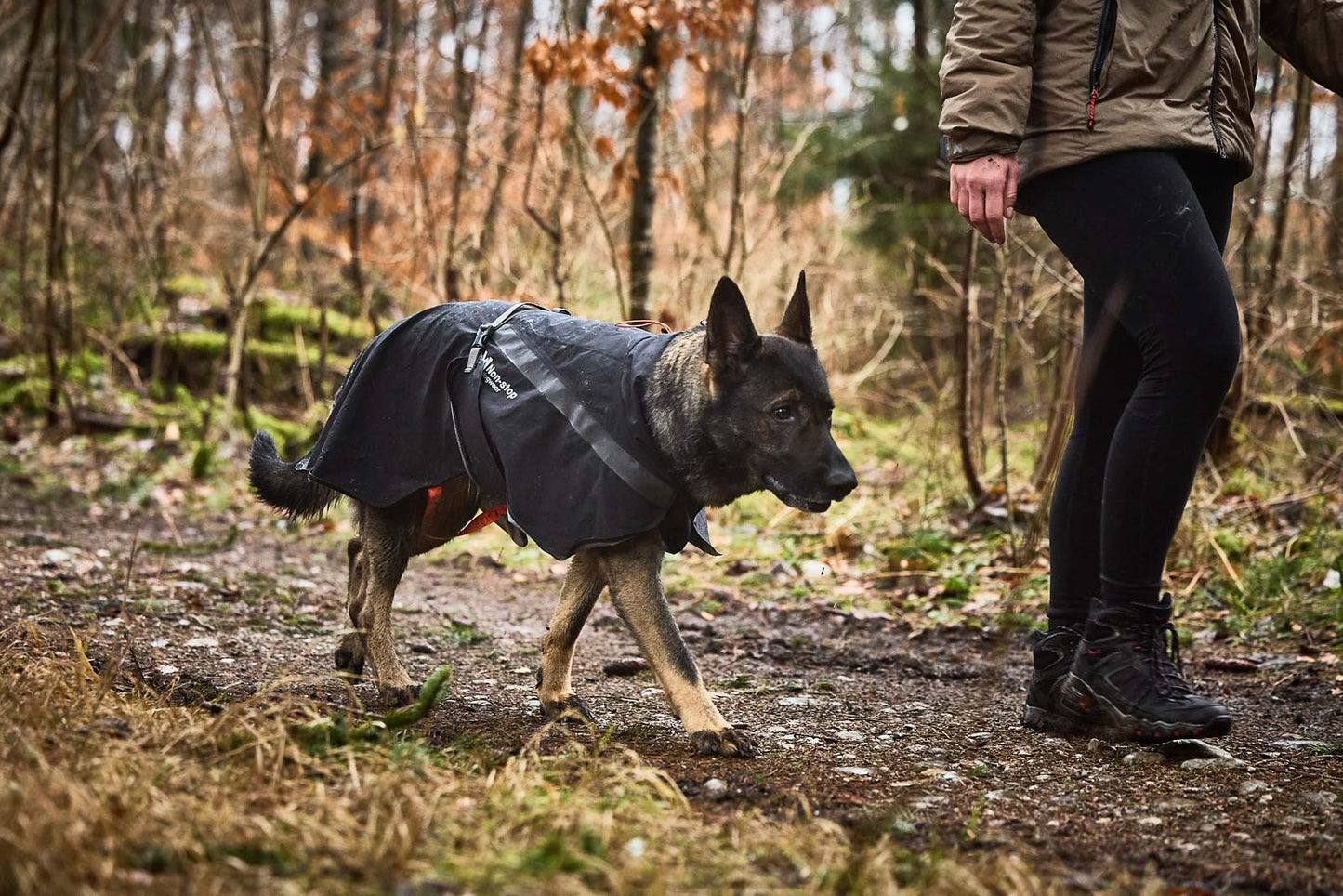 Trekking dog Raincoat - Non-Stop dogwear