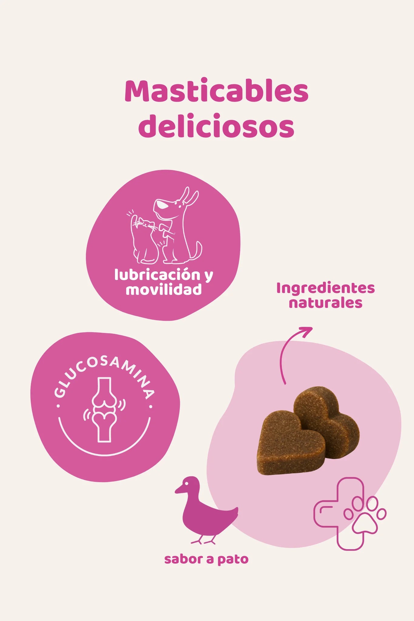 Suplemento articular perros y gatos