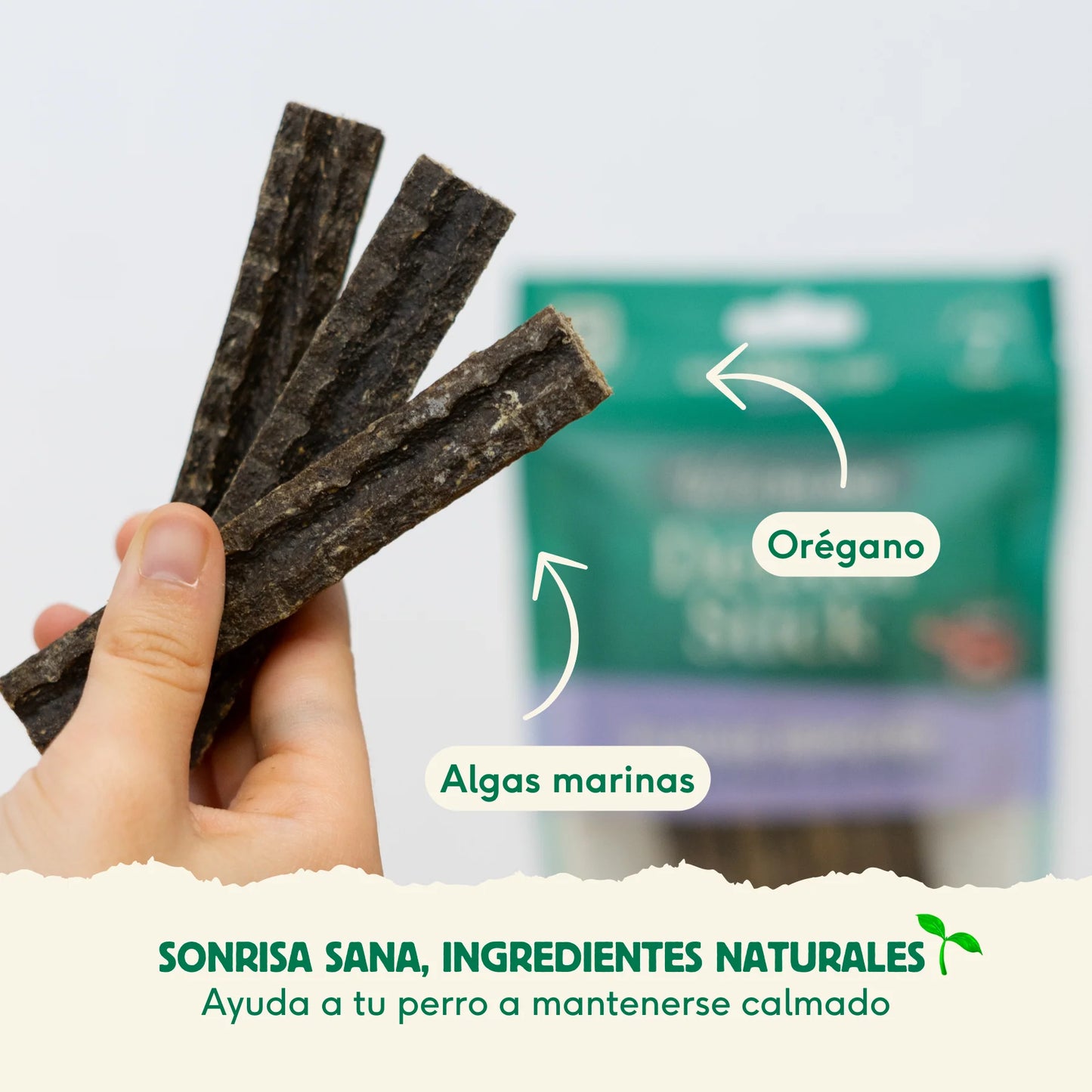 Stick Dental Plaque Remover