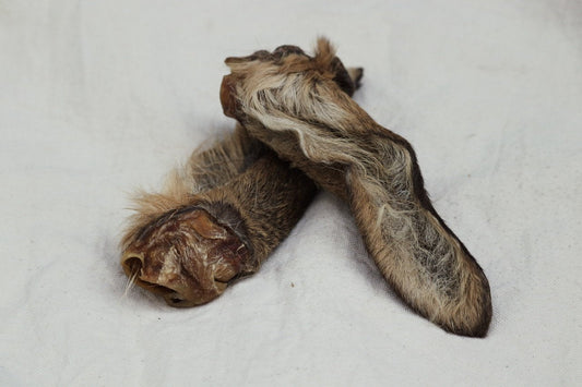 Oreja de corzo con pelo