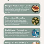Allergy Balance - Suplemento para alergias e inmunidad - The Doog life