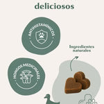 Allergy Balance - Suplemento para alergias e inmunidad - The Doog life