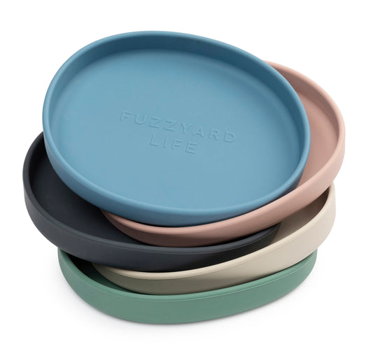 Plato de solicona - FuzzYard Life