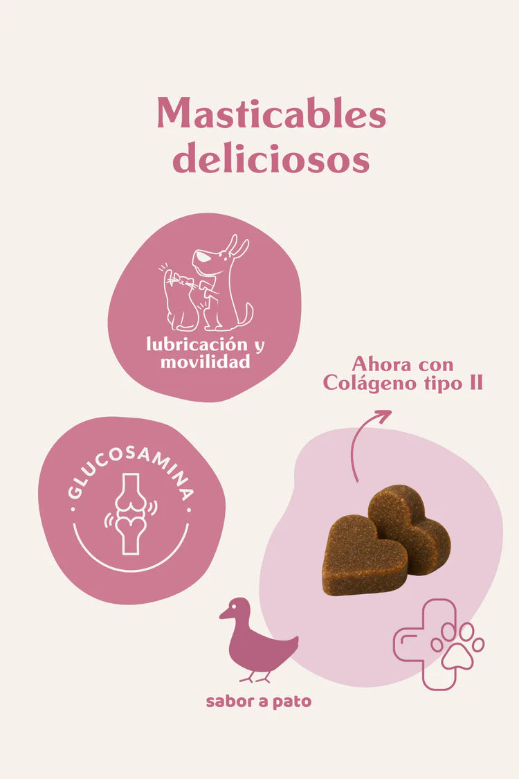 Joint Balance - Suplemento articular perros y gatos - The doog life