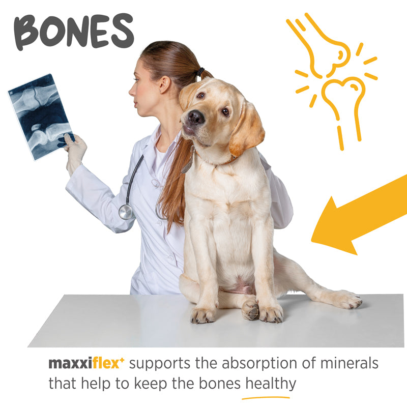 Maxxiflex+ - Condroprotector - 120 tabletas