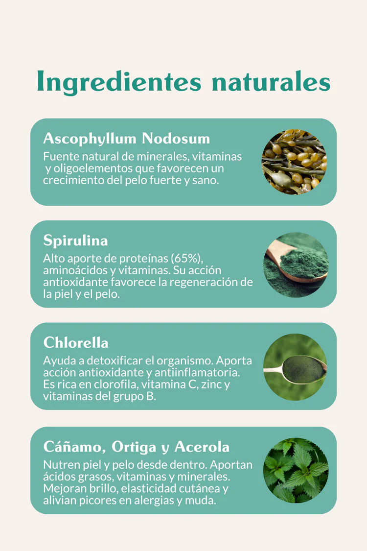 Skin Balance - Suplemento para pelo y piel de perros y gatos - The Doog life