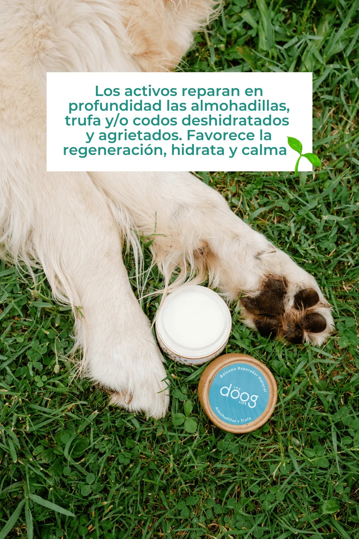 Balsamo de almohadillas, trufa y codos - The doog life