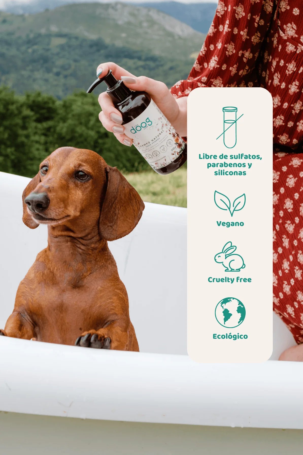 Champu natural para perros - The doog life
