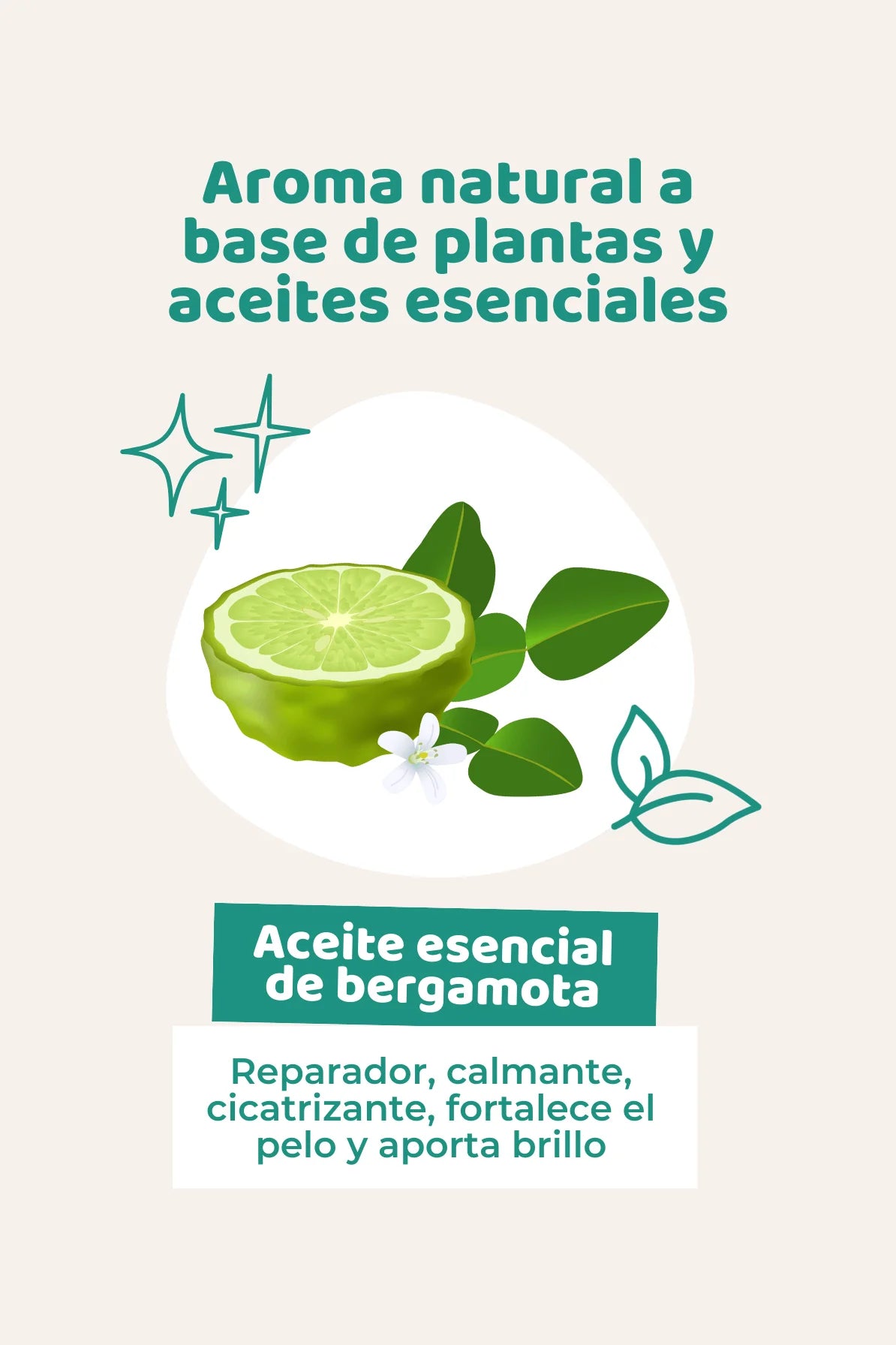 Champu natural para perros - The doog life