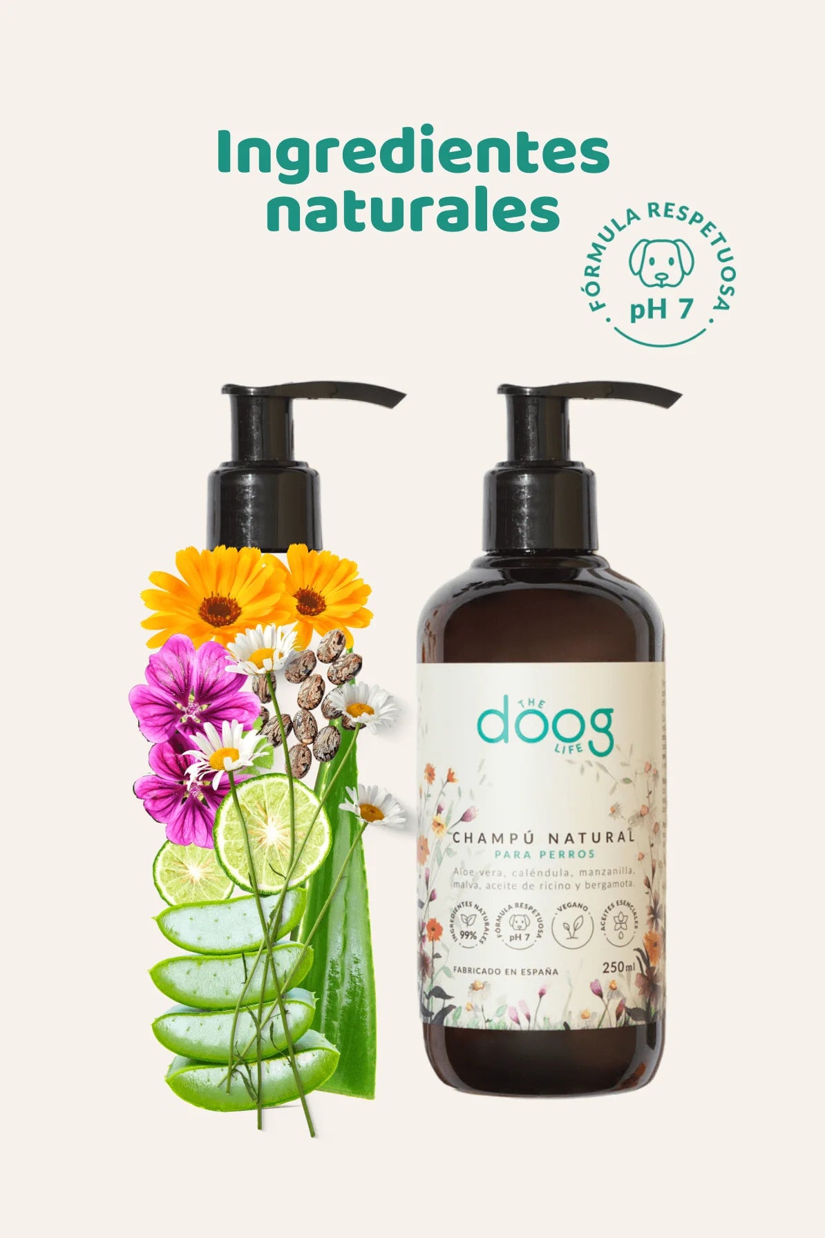 Champu natural para perros - The doog life