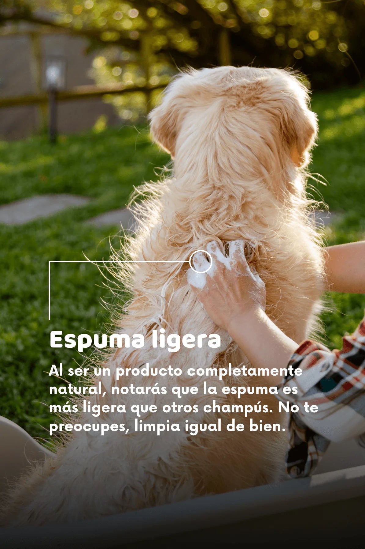 Champu natural para perros - The doog life