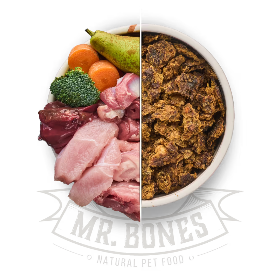 Comida deshidratada Mr Bones - Receta de pavo - Perro