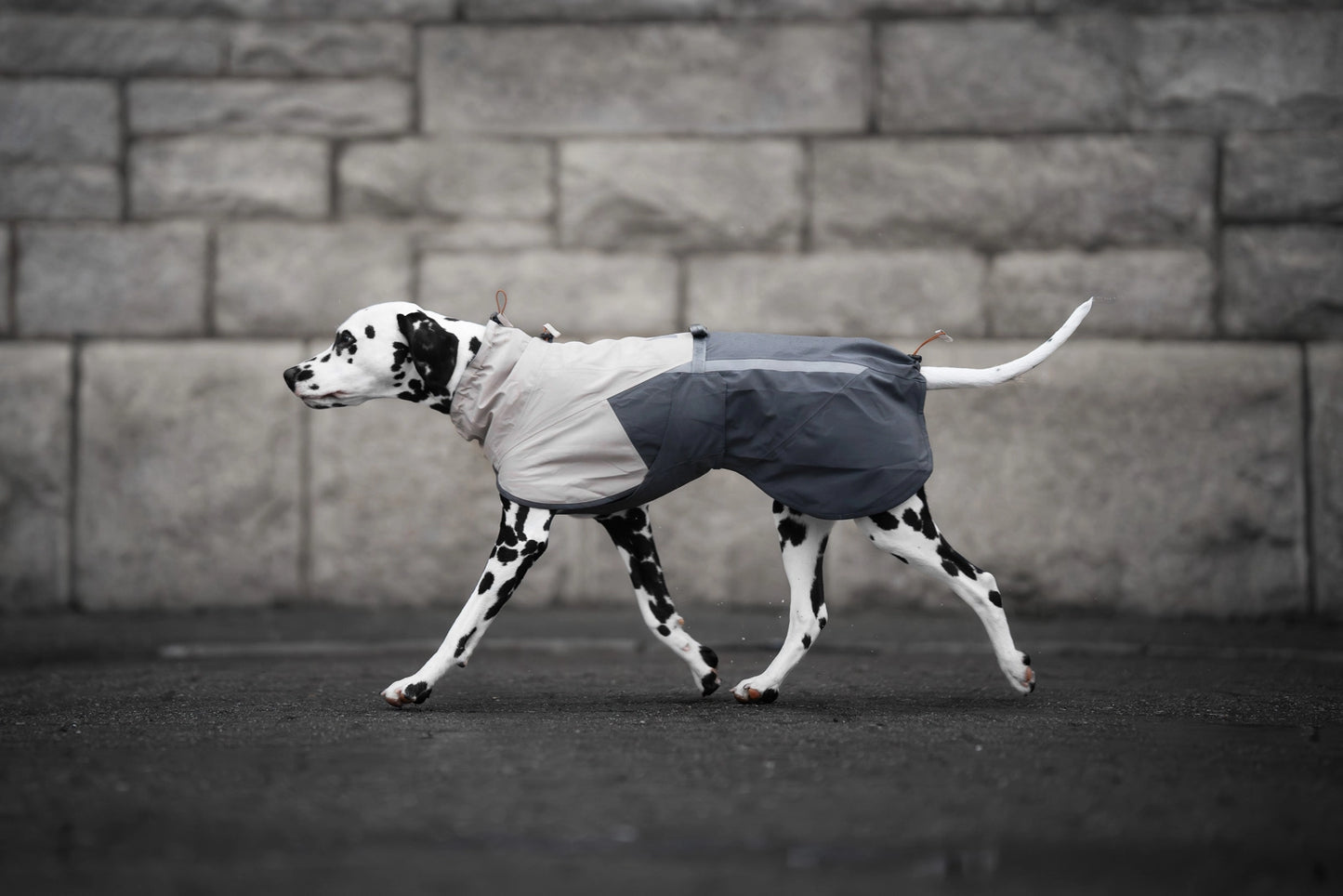 Fjord raincoat 2.0