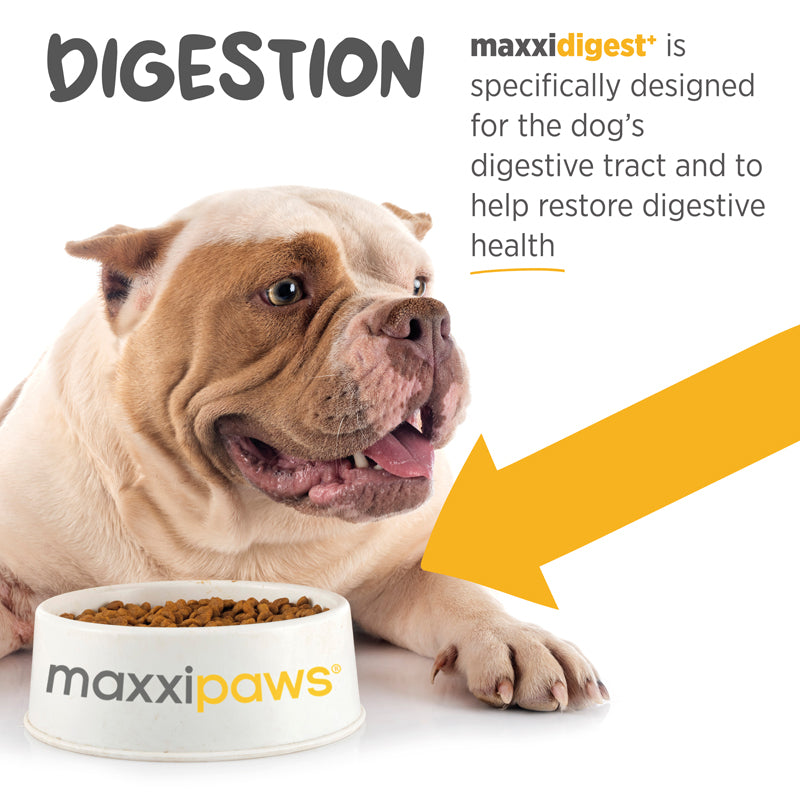 Maxxidigest - Suplemento digestivo - 200gr